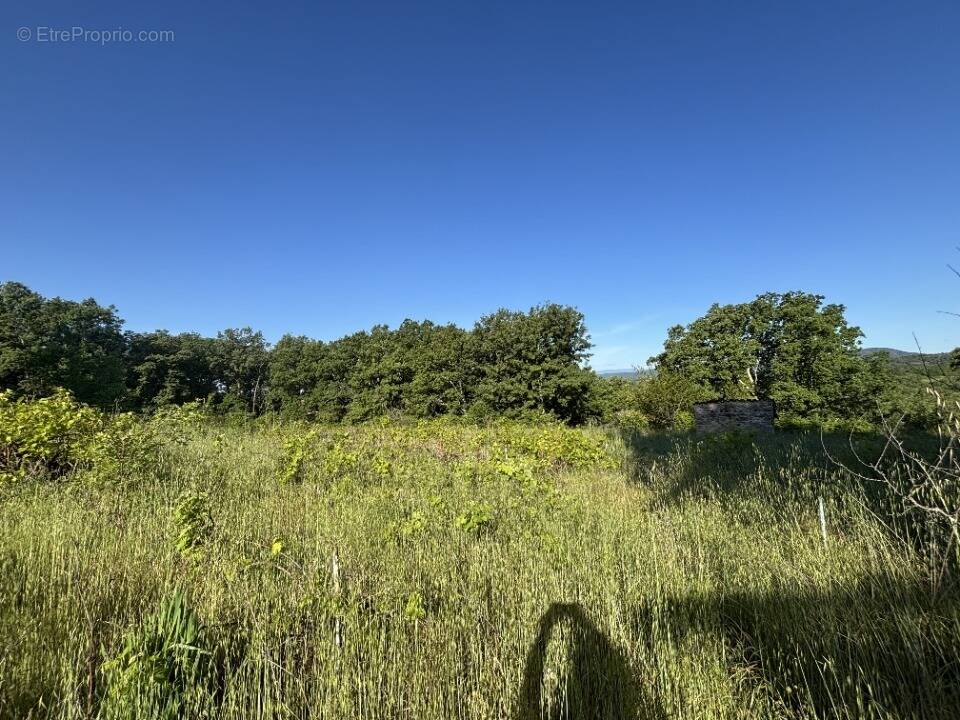 Terrain à BARJAC