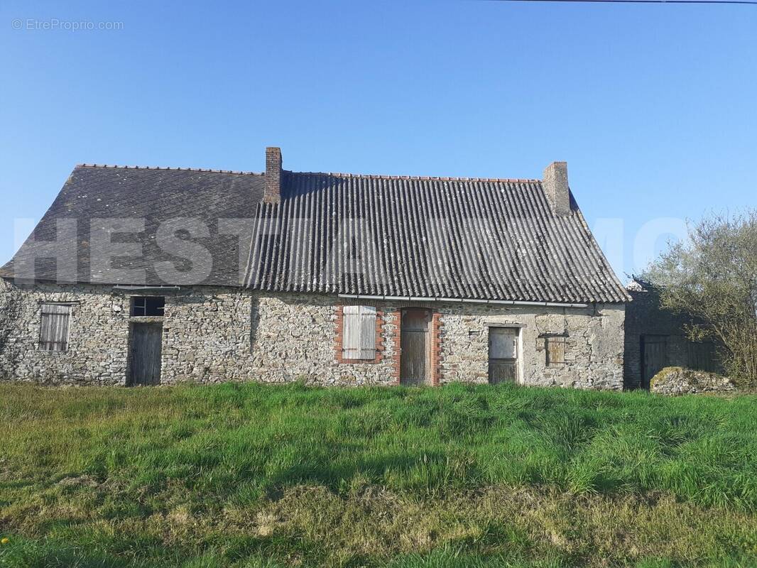 20250327_173722 - Maison à SAINT-GEREON