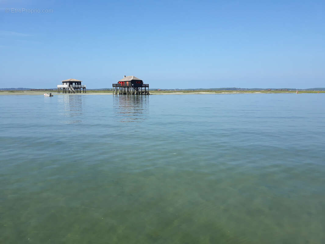 Maison à LEGE-CAP-FERRET