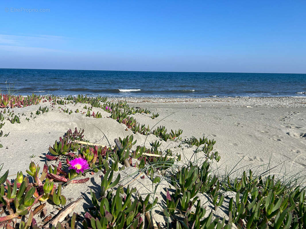 Appartement à POGGIO-MEZZANA
