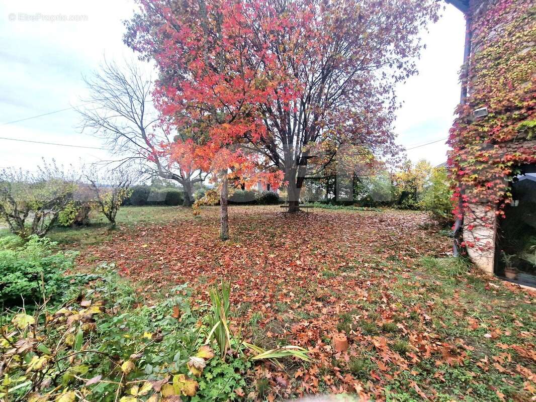 20251029_110710 - Maison à MOISSAC