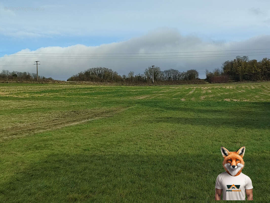 Terrain à FONTAINE-MACON
