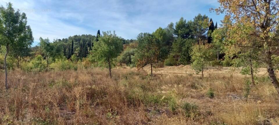 Terrain à AZILLE