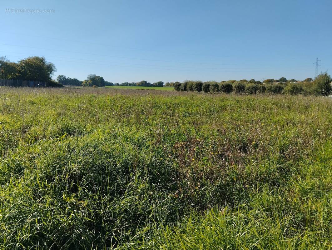 Terrain à COUTURE-D&#039;ARGENSON