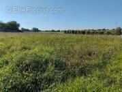 Terrain à COUTURE-D&#039;ARGENSON