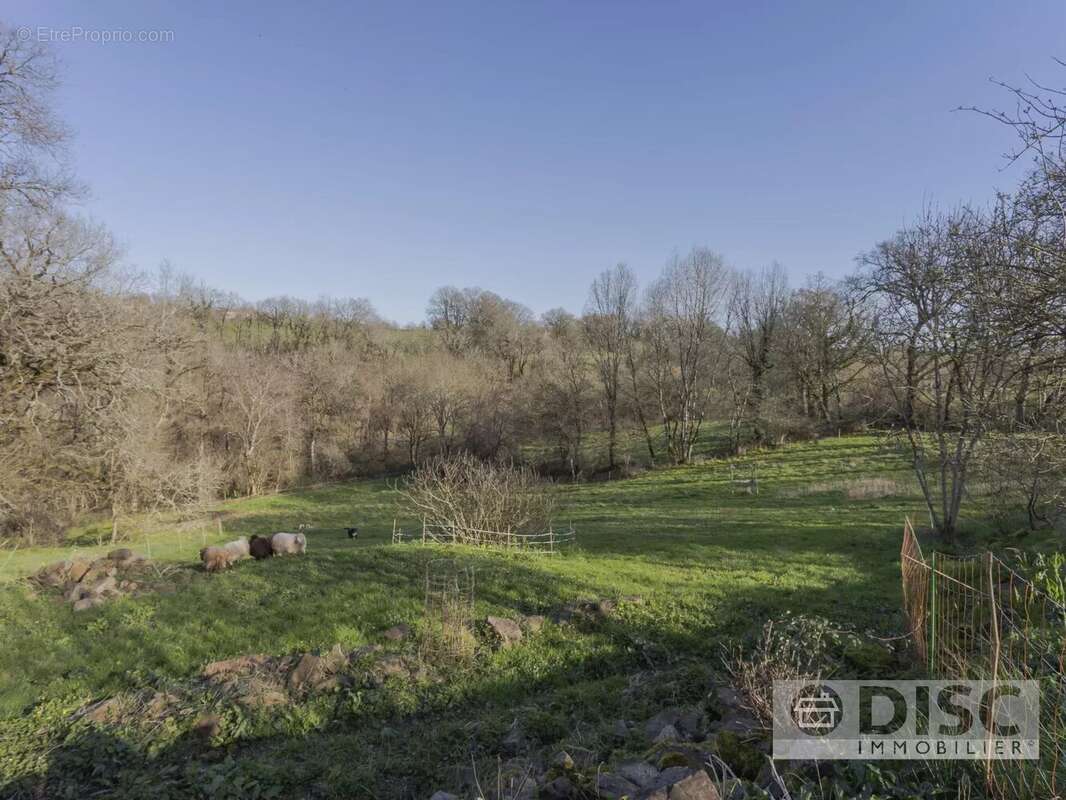 Maison à SAINT-MARTIN-LAGUEPIE