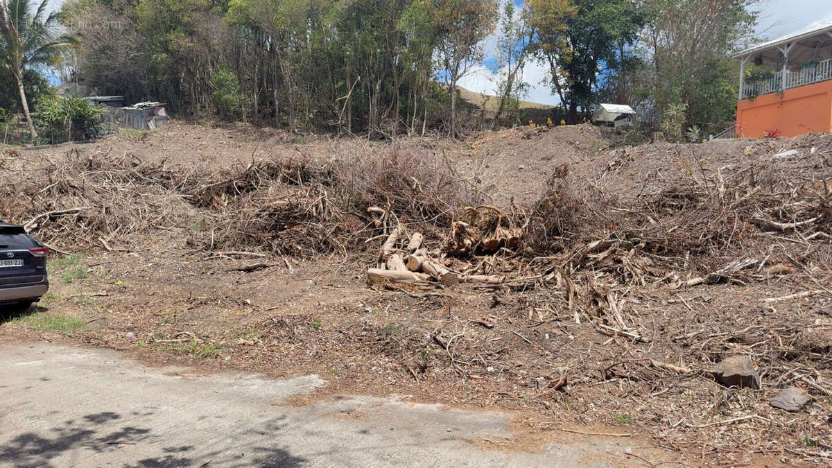 Terrain à RIVIERE-SALEE