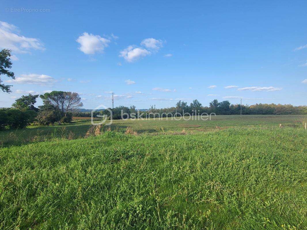 Maison à SAINTE-COLOMBE-EN-BRUILHOIS