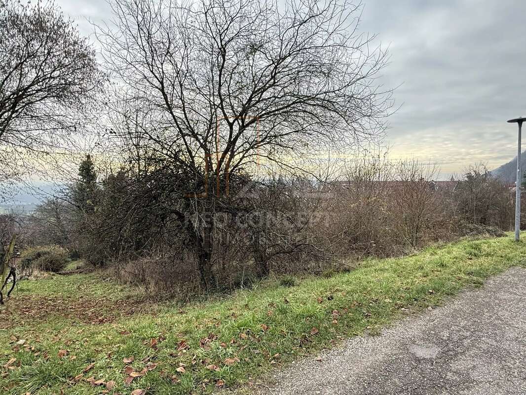 Terrain à OBERBRONN
