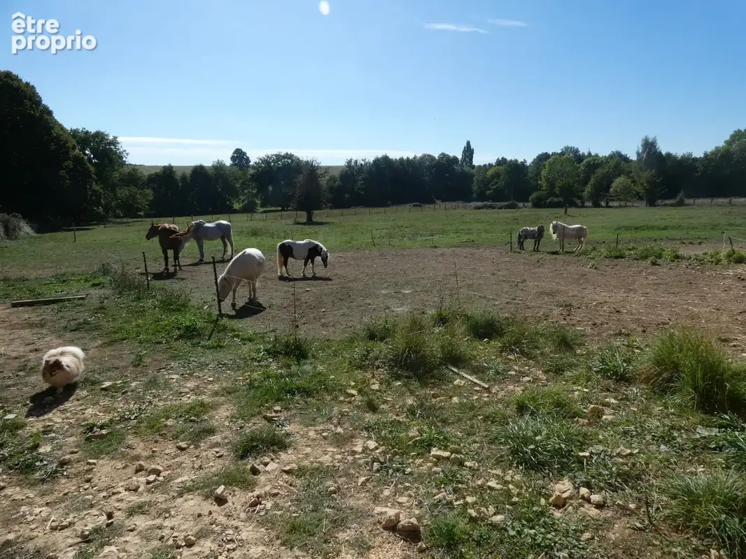 Propriété à vendre 6 pièces proche de FALAISE (14) 240 m² habitables sur 3ha52 de terrain - photo 10