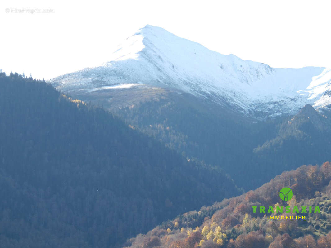 Maison à SAINT-LARY