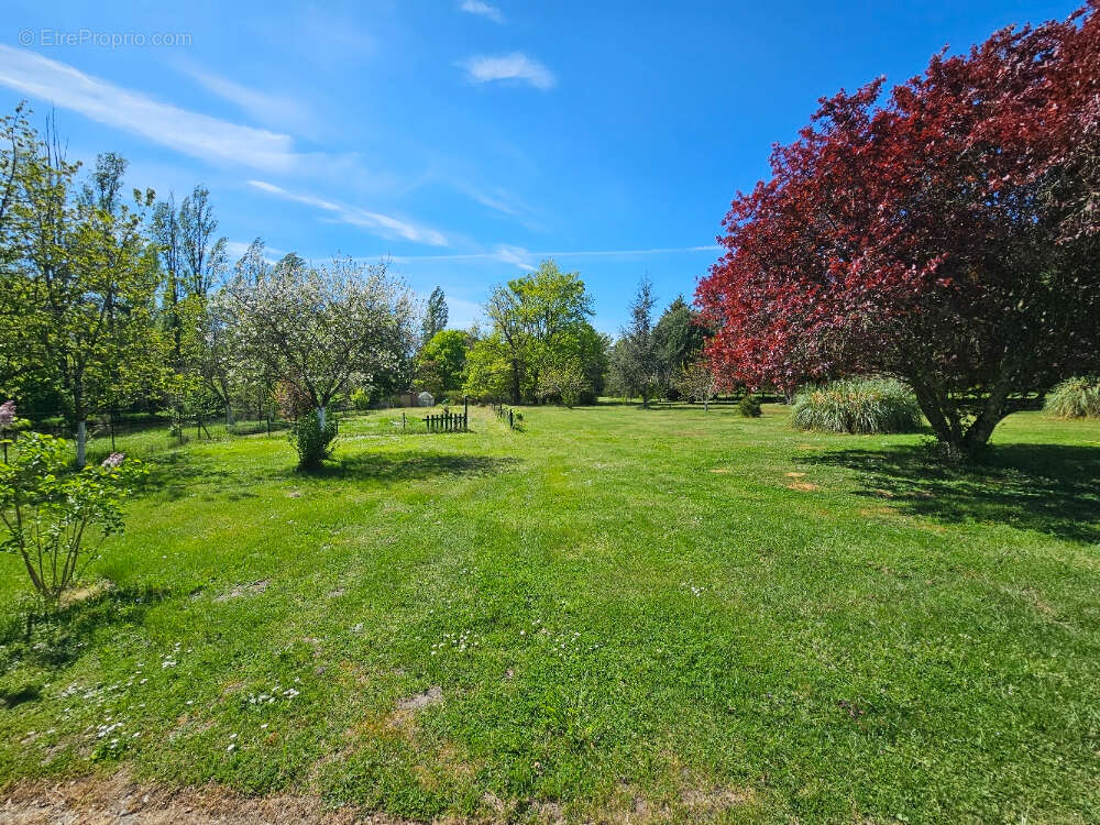 Maison à PRUNIERS-EN-SOLOGNE
