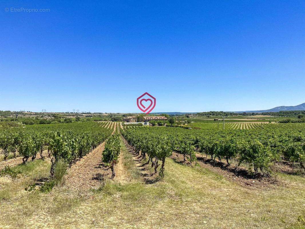 Maison à RIEUX-MINERVOIS