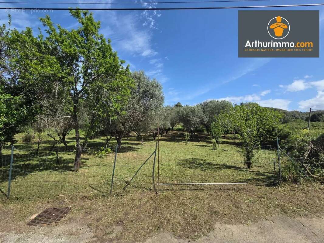 Vente Terrain Petreto-bicchisano(20140) 122 000ï¿œ - photo 2