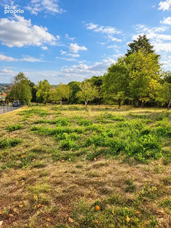 Terrain 1 485 m² à vendre à Rosieres (81400) - photo 4