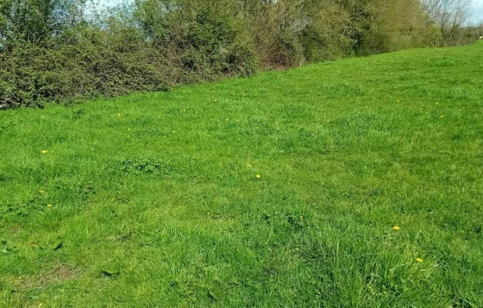 Terrain à COMPAINVILLE