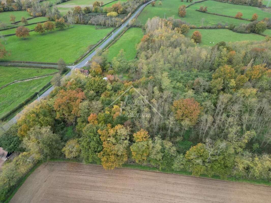 Terrain à SALIGNY-SUR-ROUDON