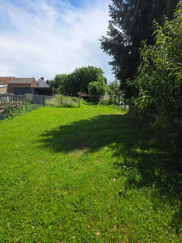 Crevecoeur le grand - photo 2