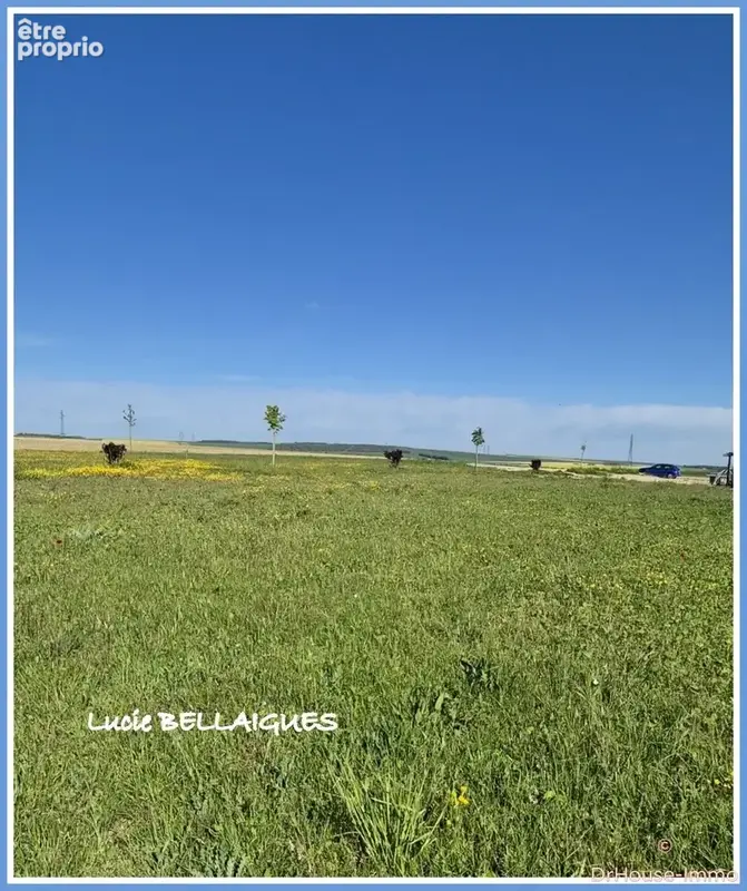Terrain 2 742 m² à vendre à Onjon (10220) - photo 47