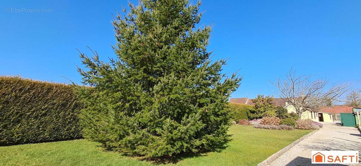 Photo 9 - Maison à LA FERTE-MACE