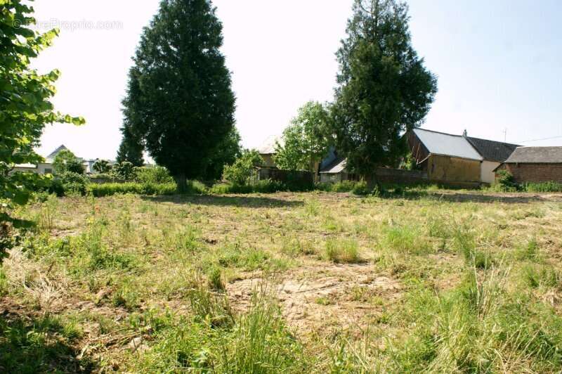 Terrain a batir - 1594m² - photo 2