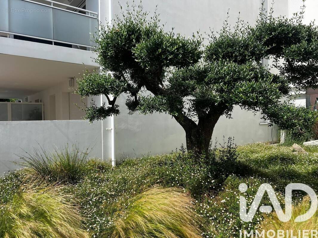 Photo 1 - Appartement à ANGLET
