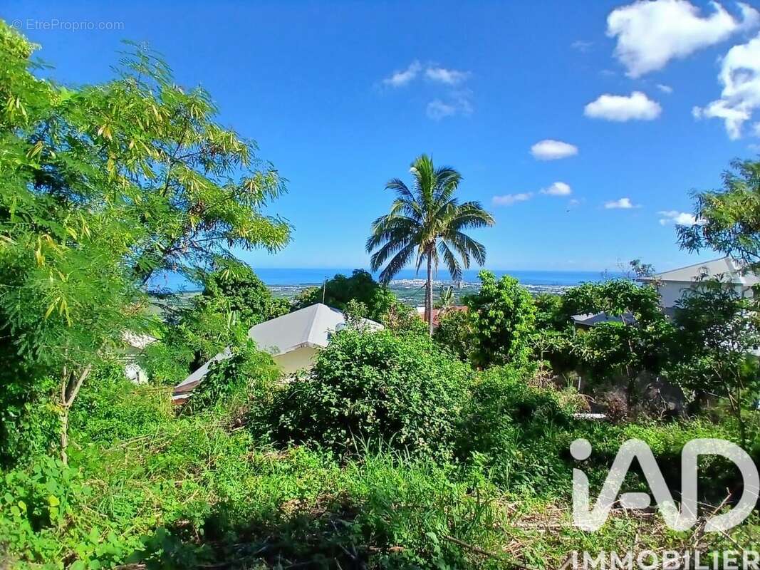 Photo 5 - Terrain à SAINT-PAUL