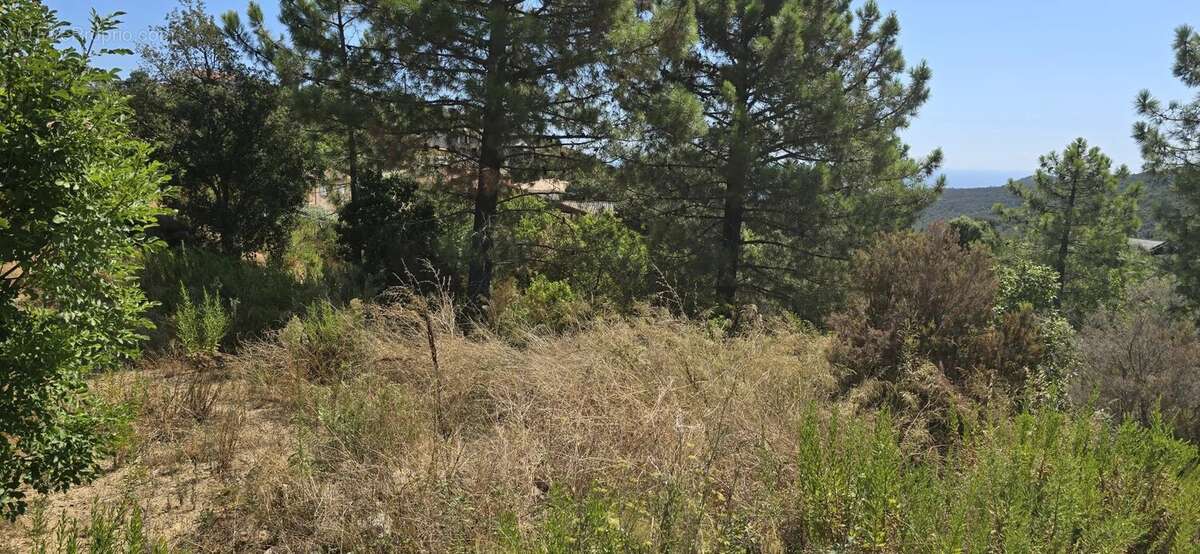 Terrain de 2000 m² avec permis purgé - photo 14