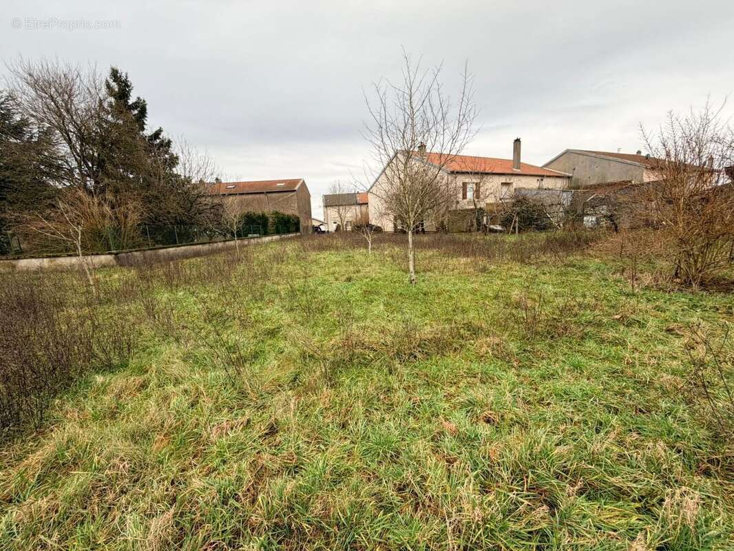 Terrain à VIEVILLE-EN-HAYE