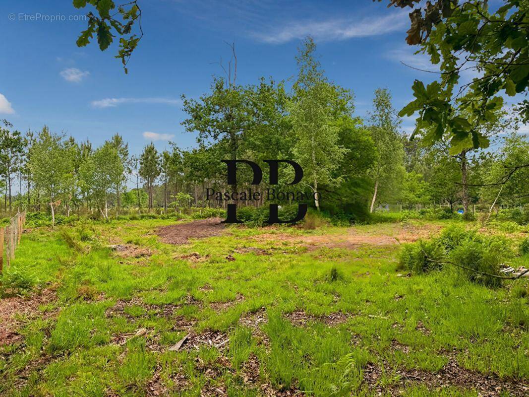 Terrain à VENDAYS-MONTALIVET