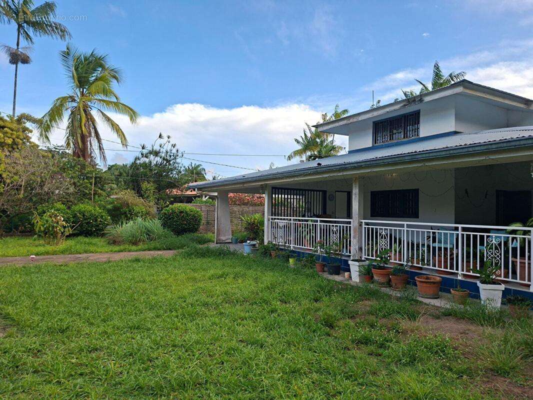 Maison à CAYENNE