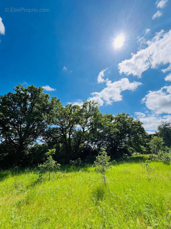 Terrain à MIGNE-AUXANCES