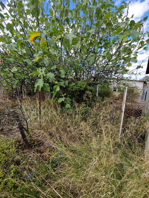 Maison à POUZOLS-MINERVOIS
