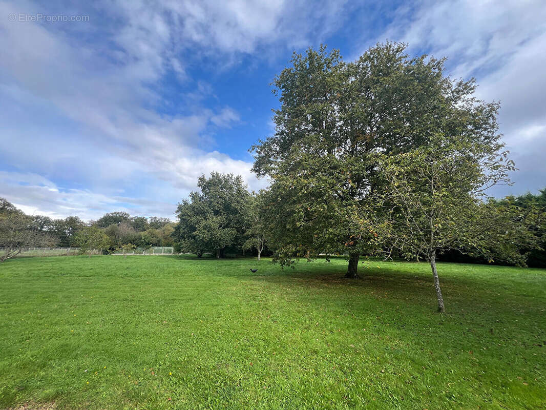 Terrain à GROSROUVRE