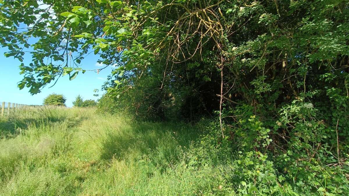 58257801d.jpg - Maison à MERU