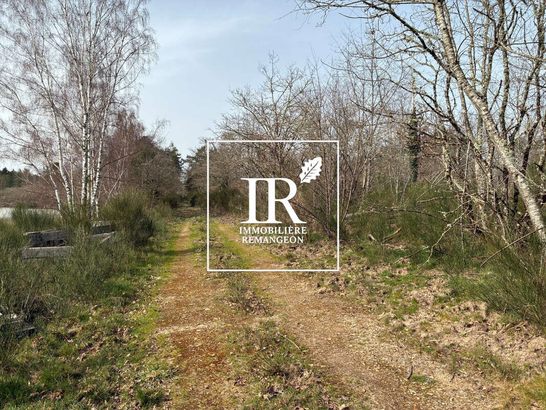Maison 230 m² à Lamotte-Beuvron  - photo 7