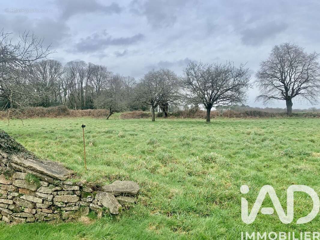 Photo 9 - Maison à PLUVIGNER