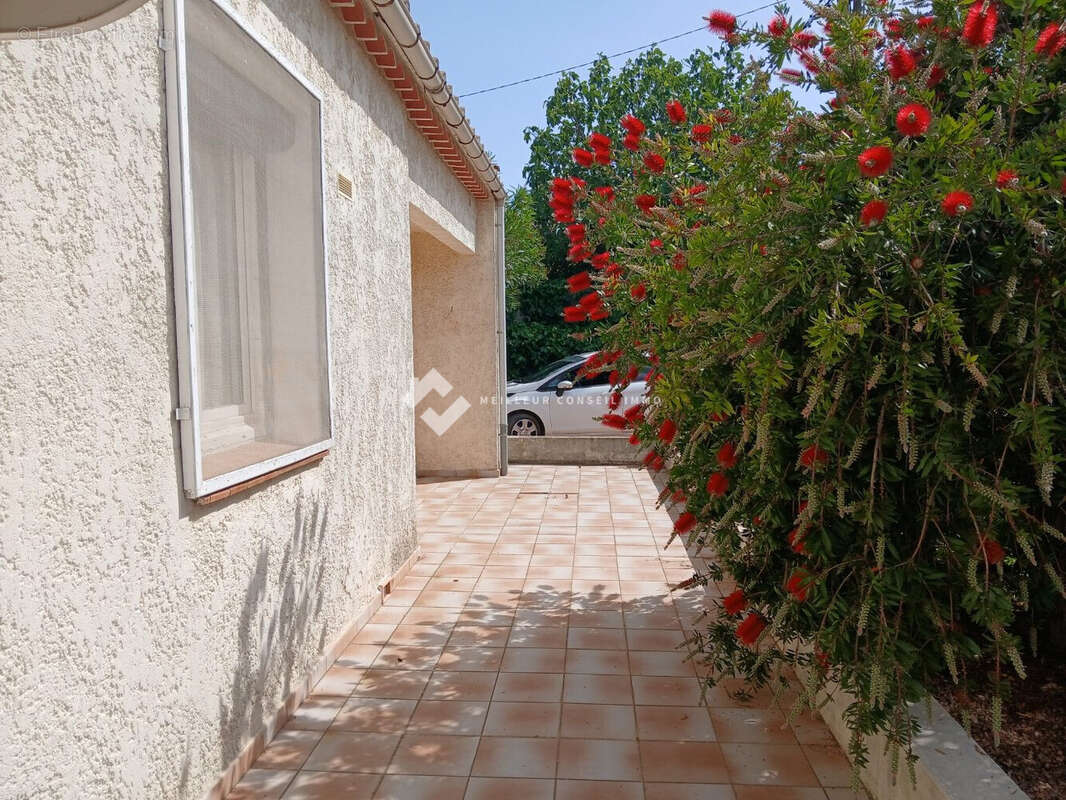 Vue terrasse  - Maison à MOUSSAN