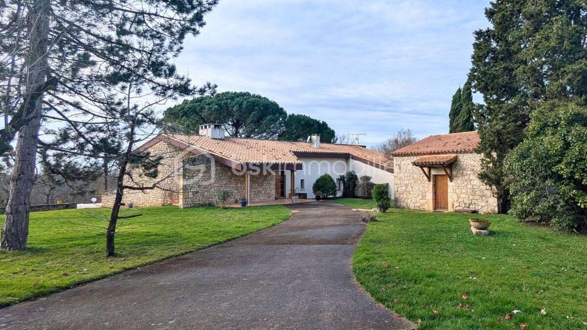Maison d’architecte 7 pièces 220 M2 avec piscine - photo 4