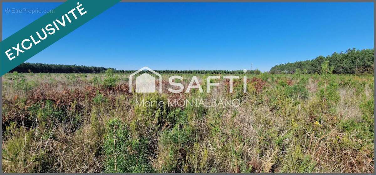 Photo 3 - Terrain à SANGUINET