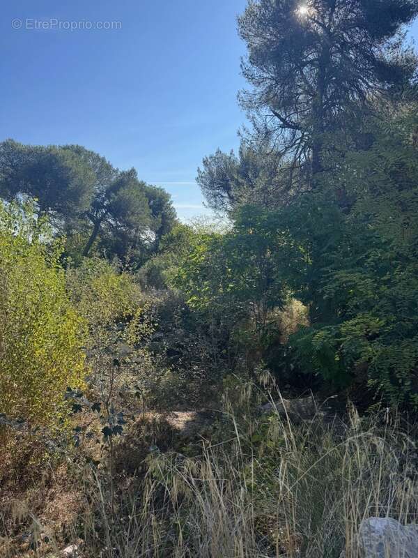 Terrain 362 m² à Lambesc  - photo 2