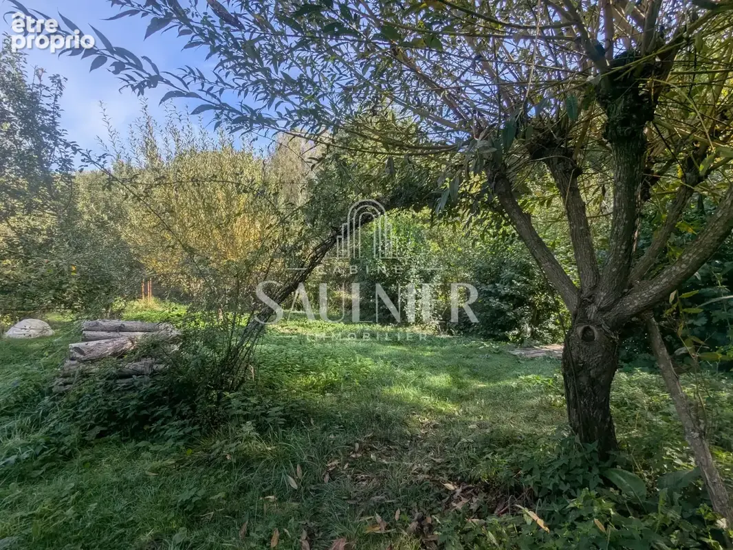 Entre Montrichard et Blois, petit domaine agricole. - photo 21