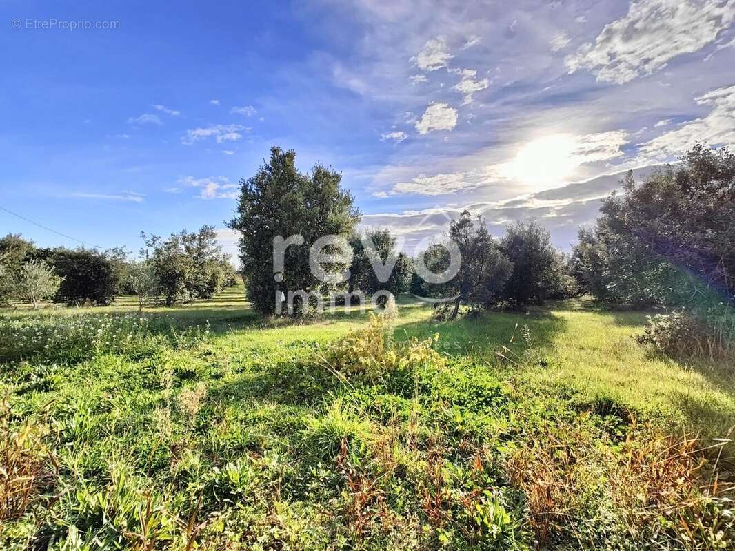 Maison à LA BAUME-DE-TRANSIT