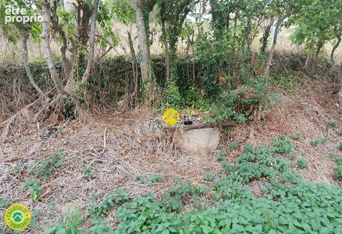 Grange à rénover – Beau projet - photo 17