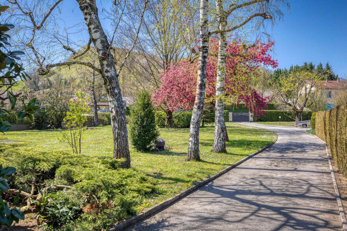 Maison à BRIE-ET-ANGONNES