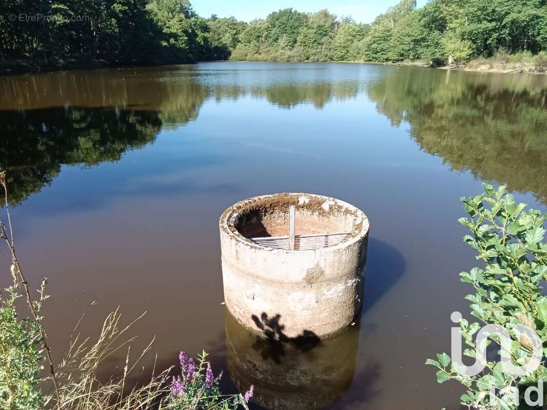 Photo 8 - Terrain à BORD-SAINT-GEORGES