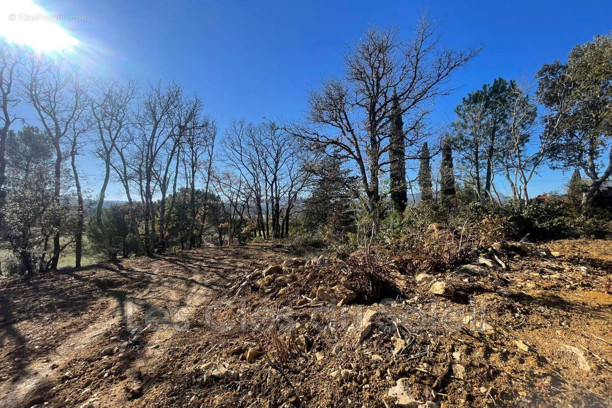 Terrain à CAMPS-LA-SOURCE