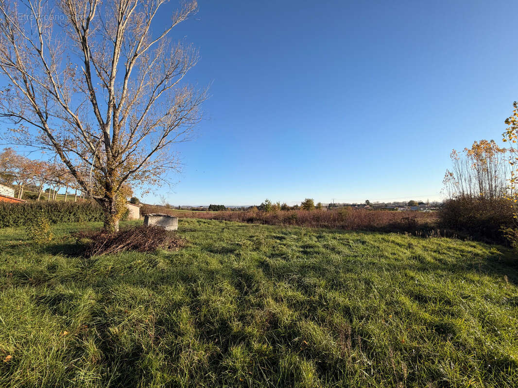 Terrain à RABASTENS