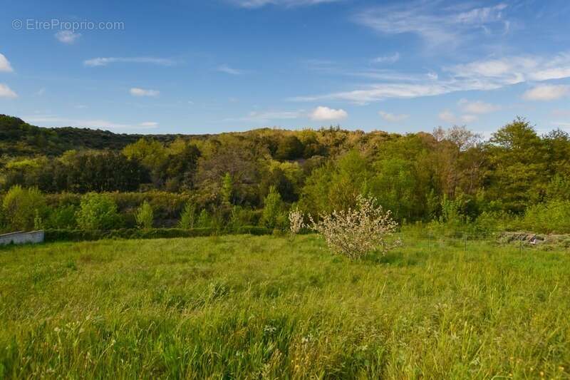 Terrain à SAINT-NAZAIRE-DE-LADAREZ