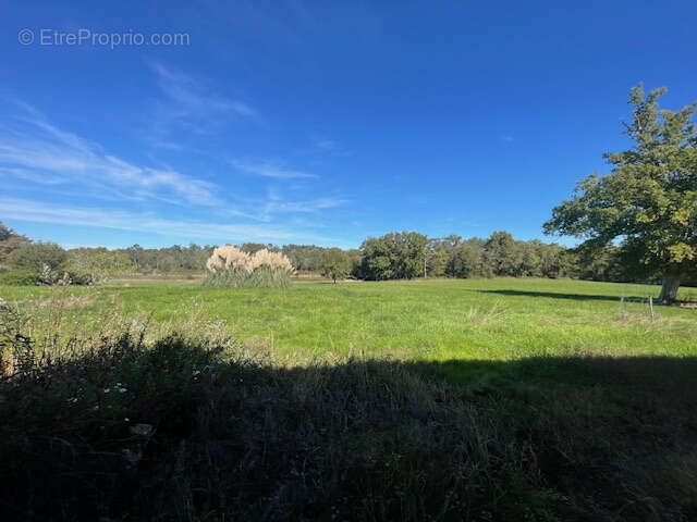 Maison à SAINT-MICHEL-DE-DOUBLE